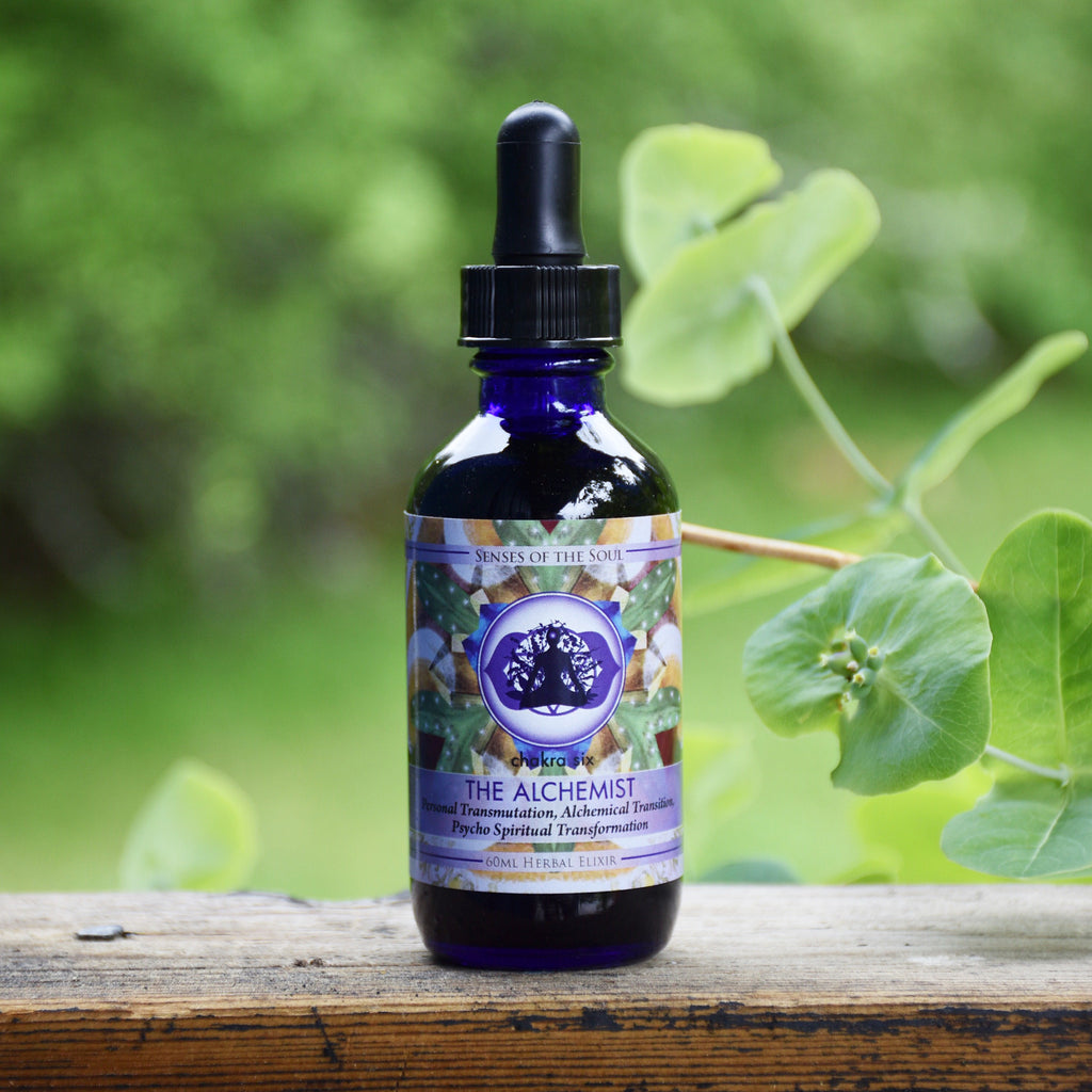 The Alchemist - Herbal Archetype Elixir 60ml – Senses of the Soul