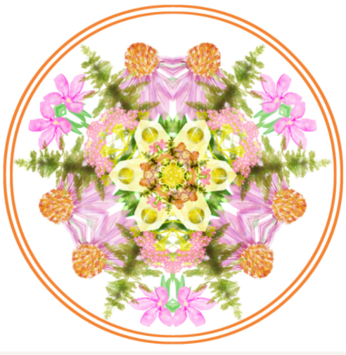 Initial Psychospiritual & Health Consultation