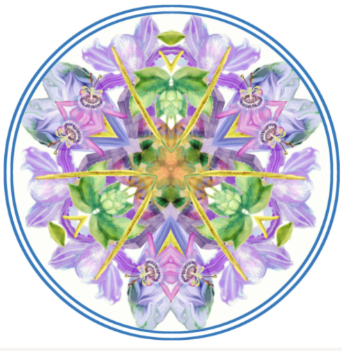 Follow-Up Psychospiritual & Health Consultation