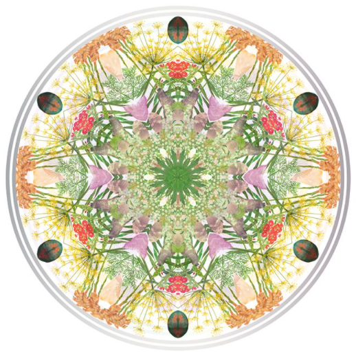 Soul Chakra Reading