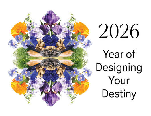 2026 Archetypal Forecast: Year of Designing Your Destiny