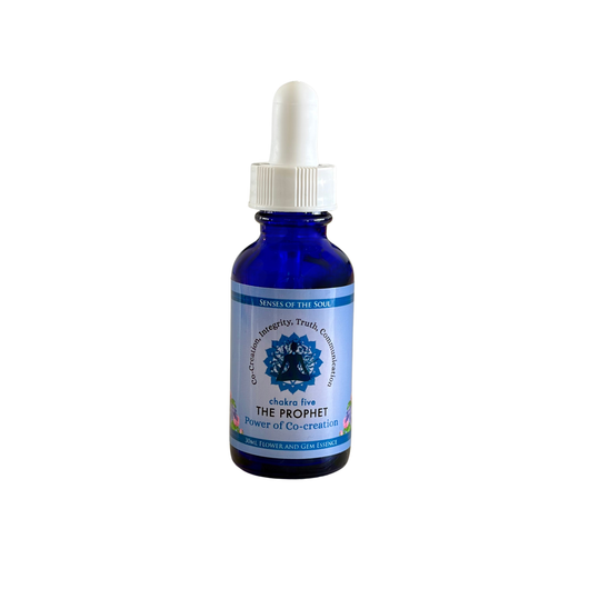 The Prophet - Archetype Essence 30ml