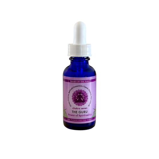 The Guru - Archetype Essence 30ml