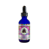 Evolving Herbal Archetype Elixir Collection