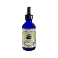 The Sorcerer/Sorceress - Herbal Archetype Elixir 60ml