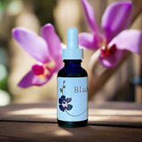 Black Orchid Essential Oil - 30ml