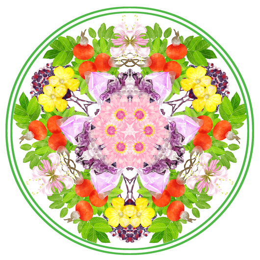 Self-Mastery Guidance Session