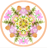 Initial Psychospiritual & Health Consultation