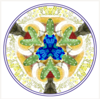 Initial Wise Person Psycho Spiritual & Health Consult