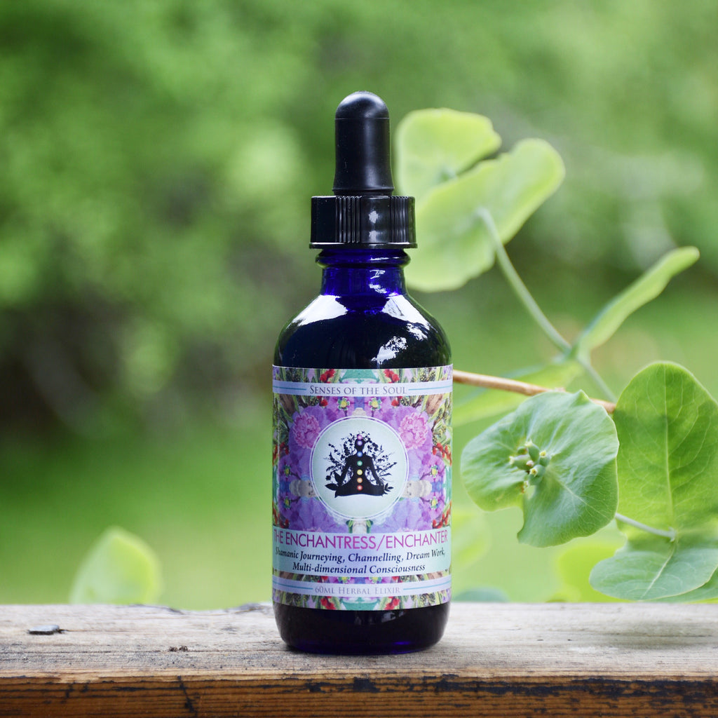 The Enchanter/Enchantress - Herbal Archetype Elixir 60ml – Senses of ...