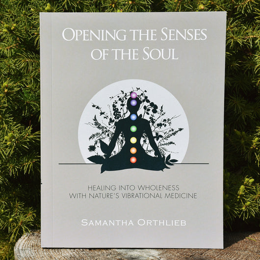 Opening The Senses of the Soul Book 